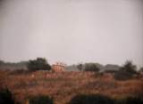PC060035.JPG
